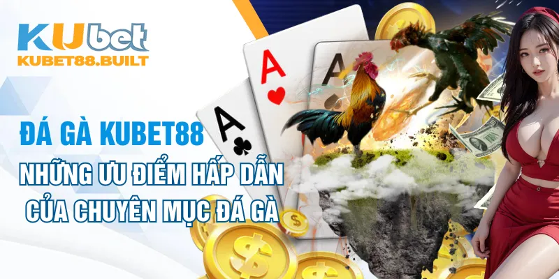 Những ưu điểm hấp dẫn của chuyên mục đá gà Kubet88